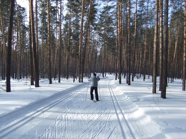 Динамо фото сыктывкар